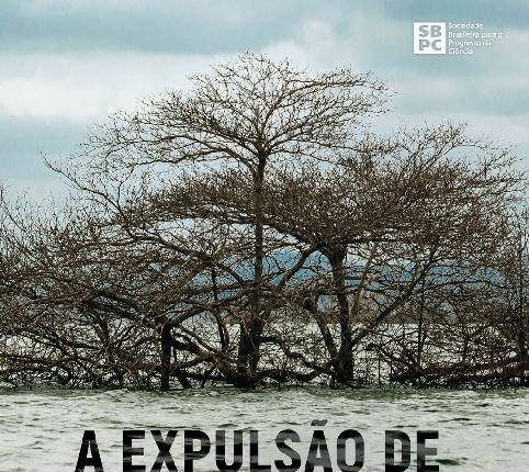 Alt da imagem