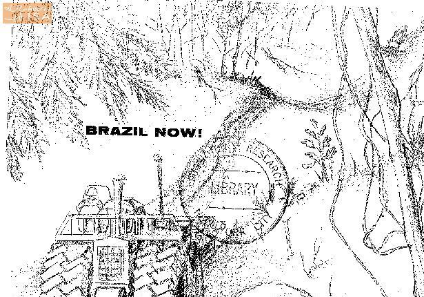Alt da imagem
