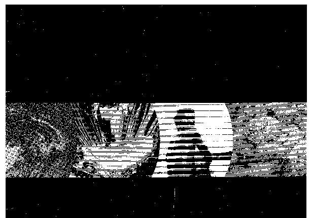 Alt da imagem