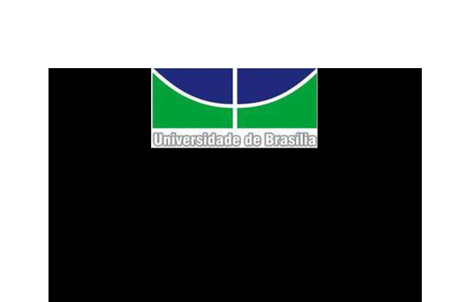 Alt da imagem