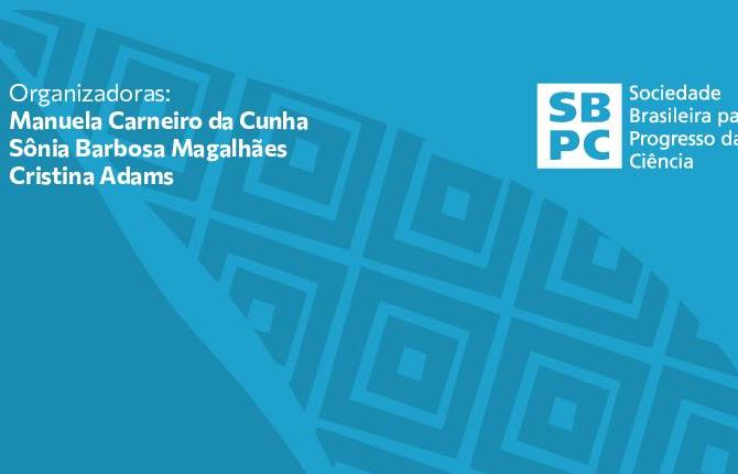 Alt da imagem