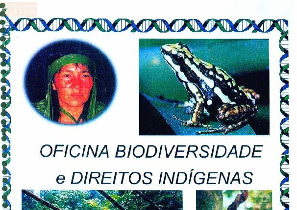 Alt da imagem