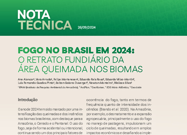 Alt da imagem