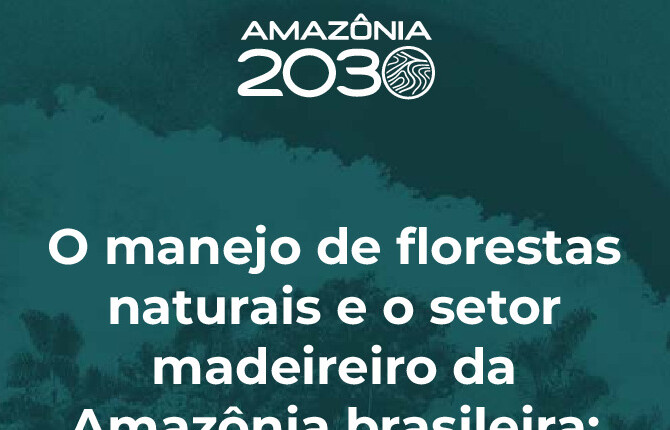 Alt da imagem
