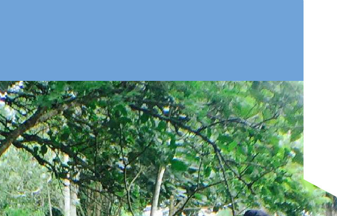 Alt da imagem