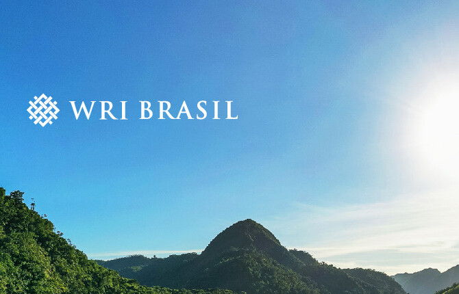 Alt da imagem