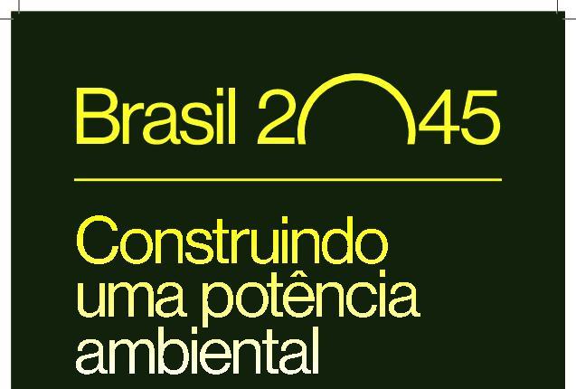 Alt da imagem
