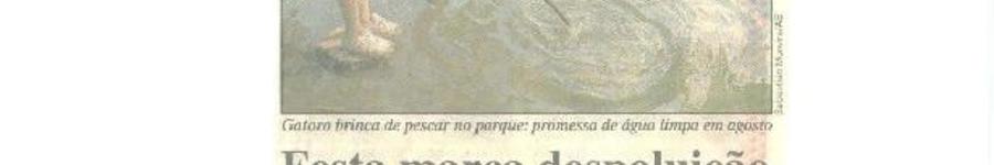 Alt da imagem