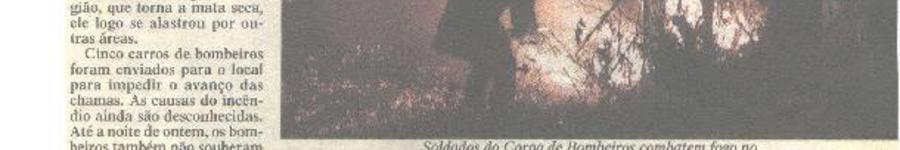 Alt da imagem