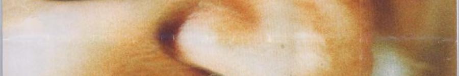 Alt da imagem
