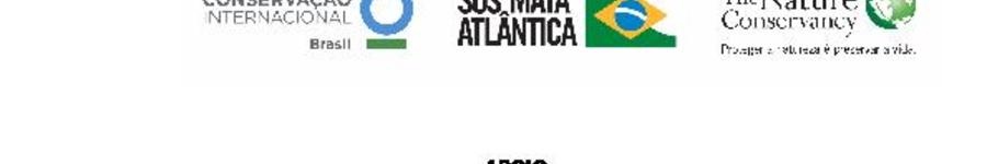 Alt da imagem
