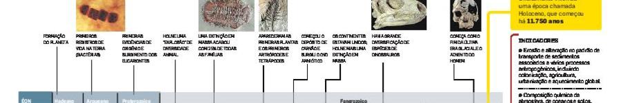 Alt da imagem