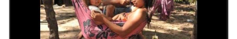 Alt da imagem