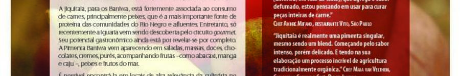 Alt da imagem