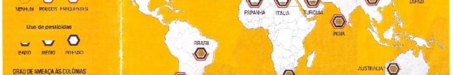 Alt da imagem