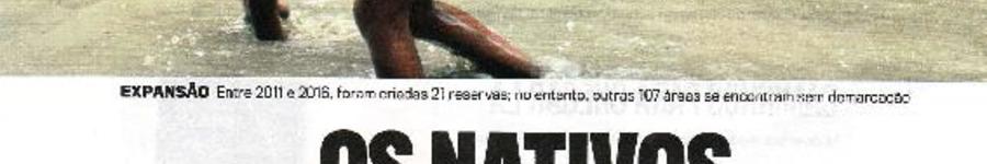 Alt da imagem