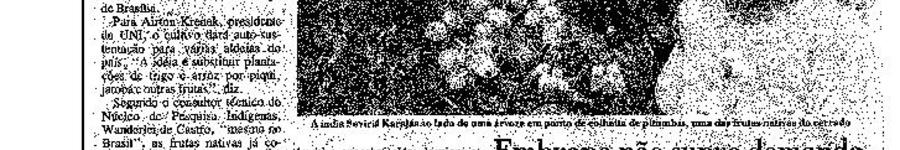 Alt da imagem