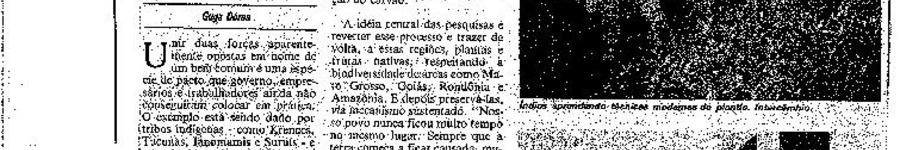 Alt da imagem
