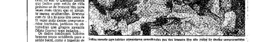 Alt da imagem