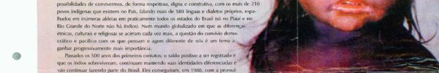 Alt da imagem