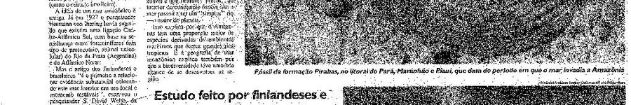 Alt da imagem