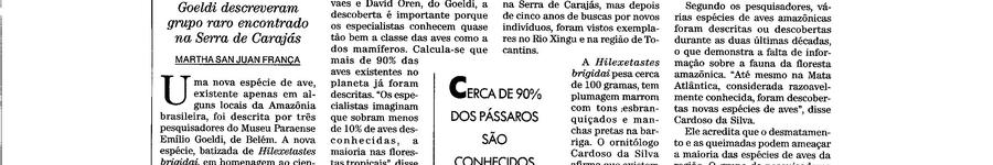 Alt da imagem