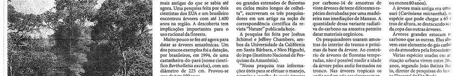 Alt da imagem