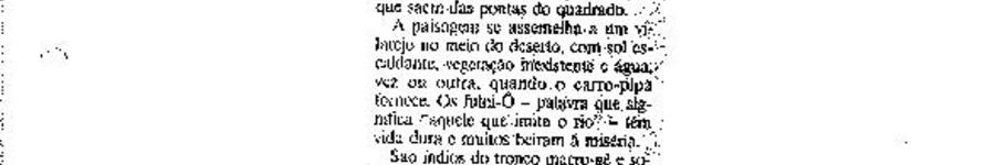 Alt da imagem