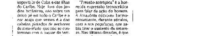 Alt da imagem