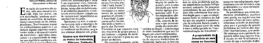 Alt da imagem