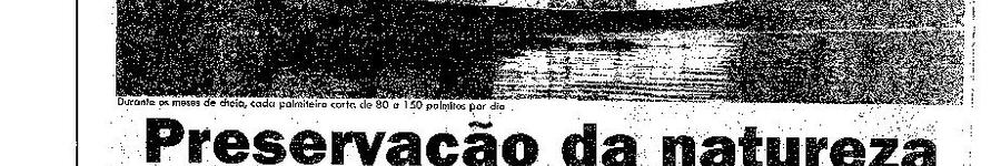 Alt da imagem