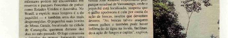 Alt da imagem