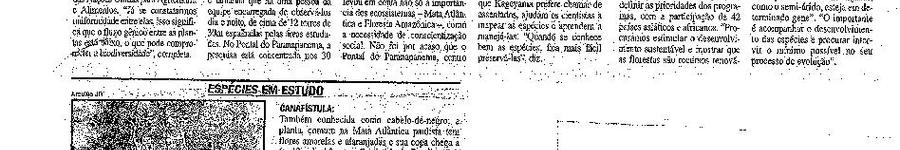 Alt da imagem